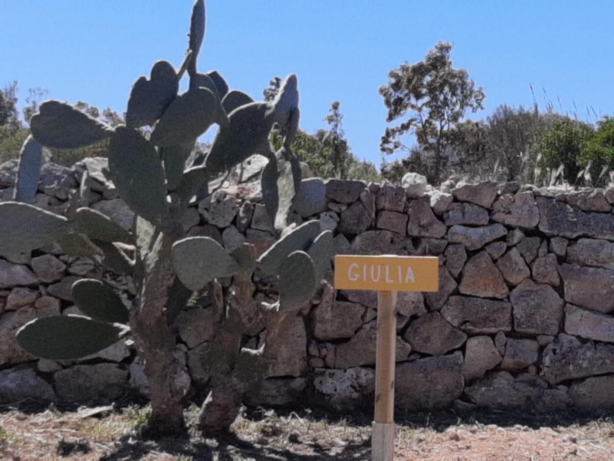 Tenuta L'Alba Di Monte Matino Otranto Exteriör bild